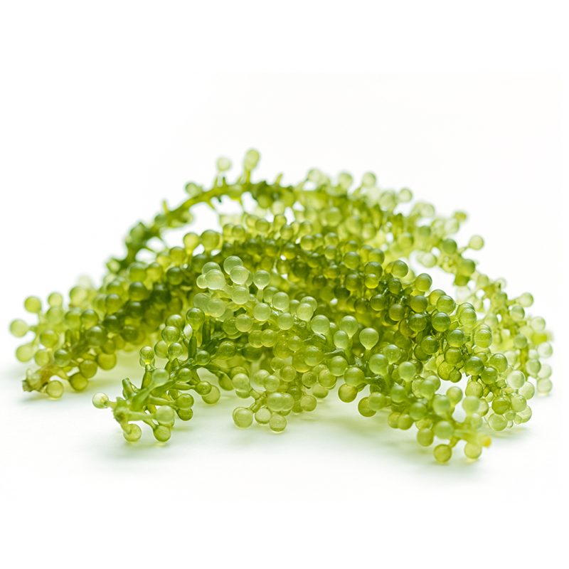 SEA WEED CAVIAR